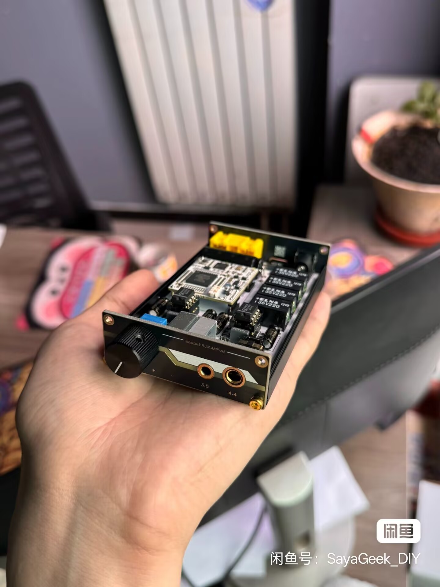 Portable R2R decoding headphon - Headphone Amplifier review and price